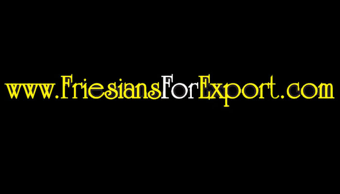 FriesiansForExport.com
