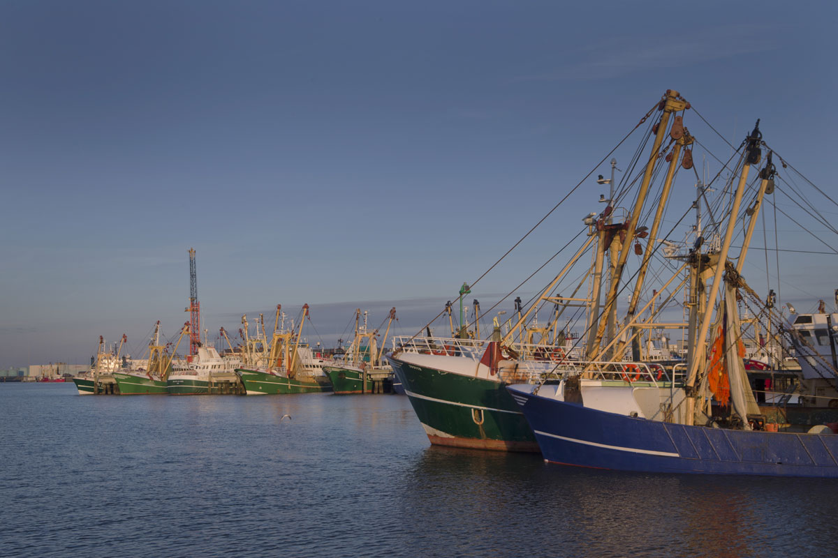 Harlingen_Trouwen