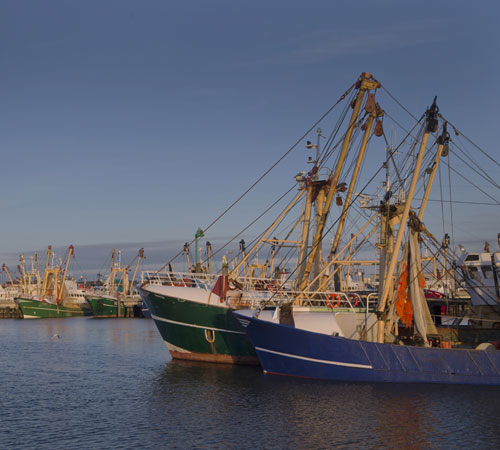 Trouwen in Harlingen