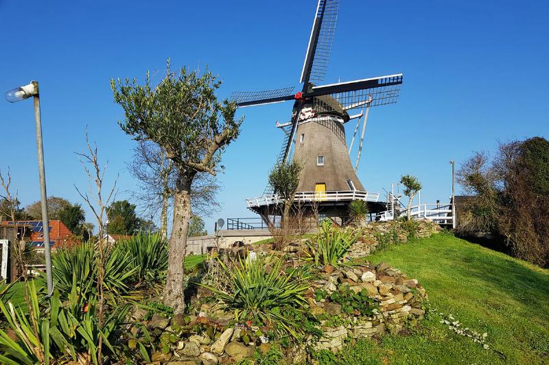 4_molen_de_korenaar_trouwlocatie-sexbierum