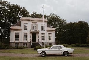3231-1397760729