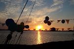 2941-495990190.webp